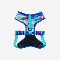 Error #404 | Adjustable Air Mesh Harness