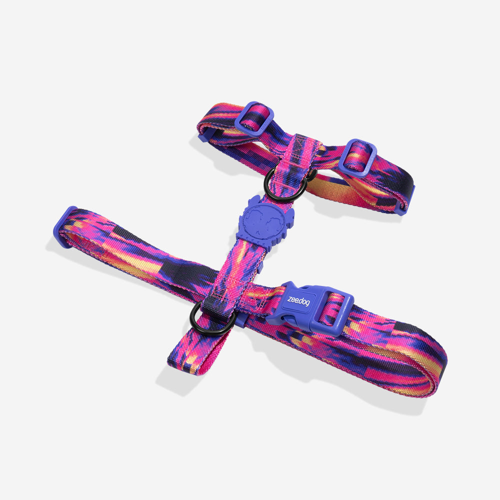 Error #500 | H Harness