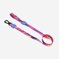 Error #500 | Leash