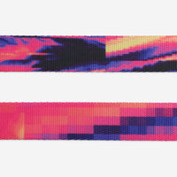 Error #500 | Leash