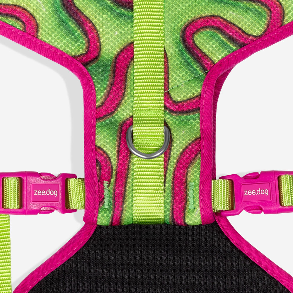 H3D Jelly | Adjustable Air Mesh Harness
