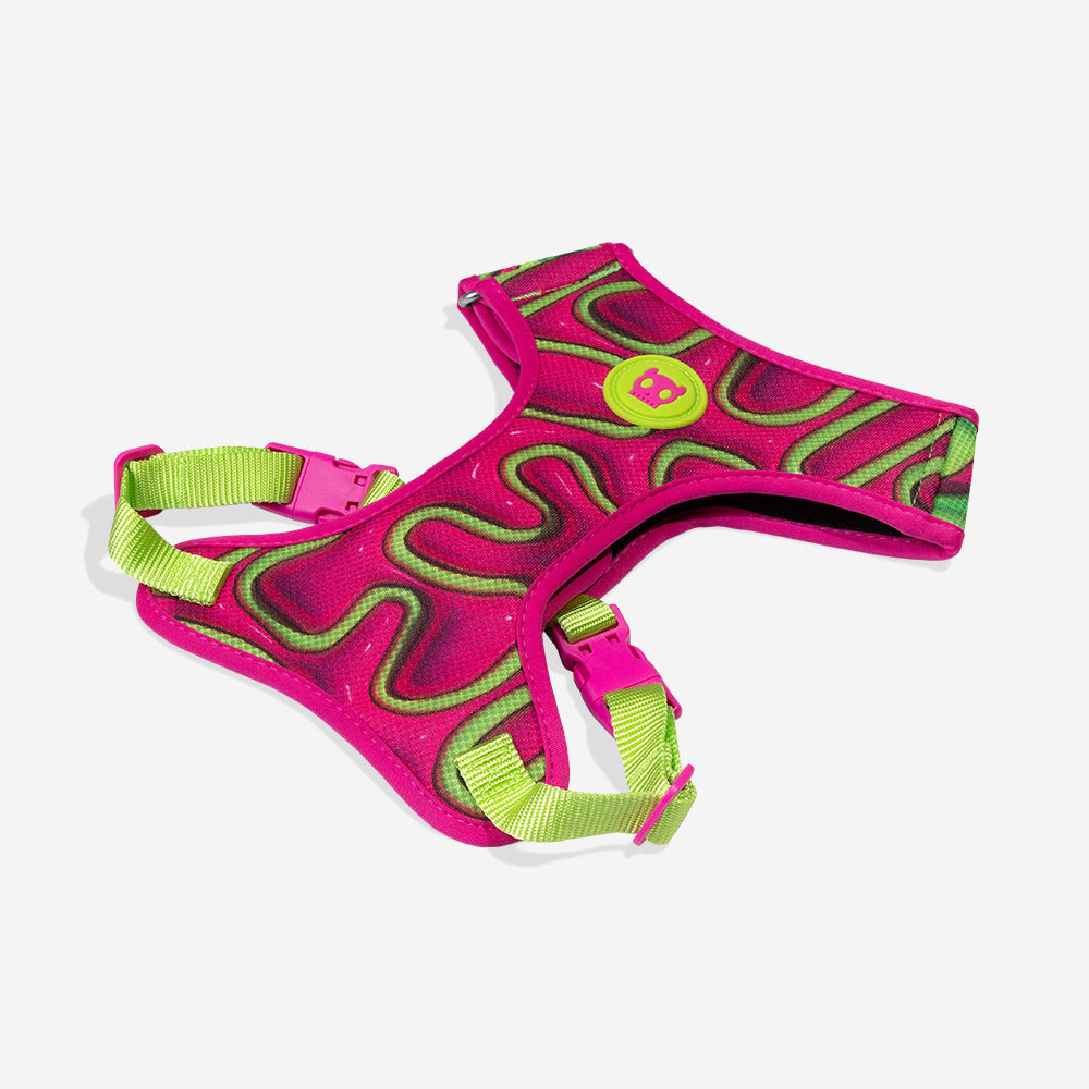 H3D Jelly | Adjustable Air Mesh Harness