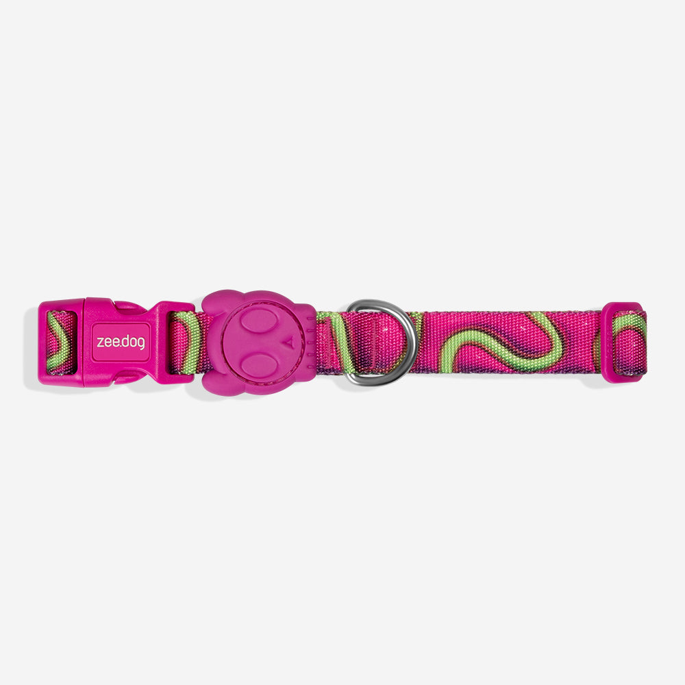H3D Jelly | Collar