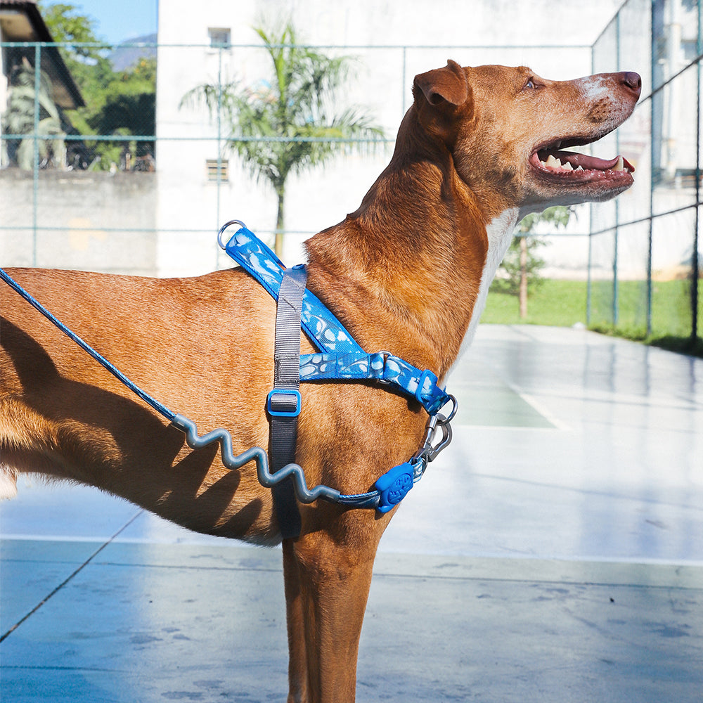 H3D Fly | SofterWalk Harness