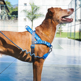 H3D Fly | SofterWalk Harness