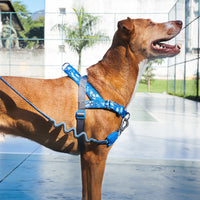 H3D Fly | SofterWalk Harness