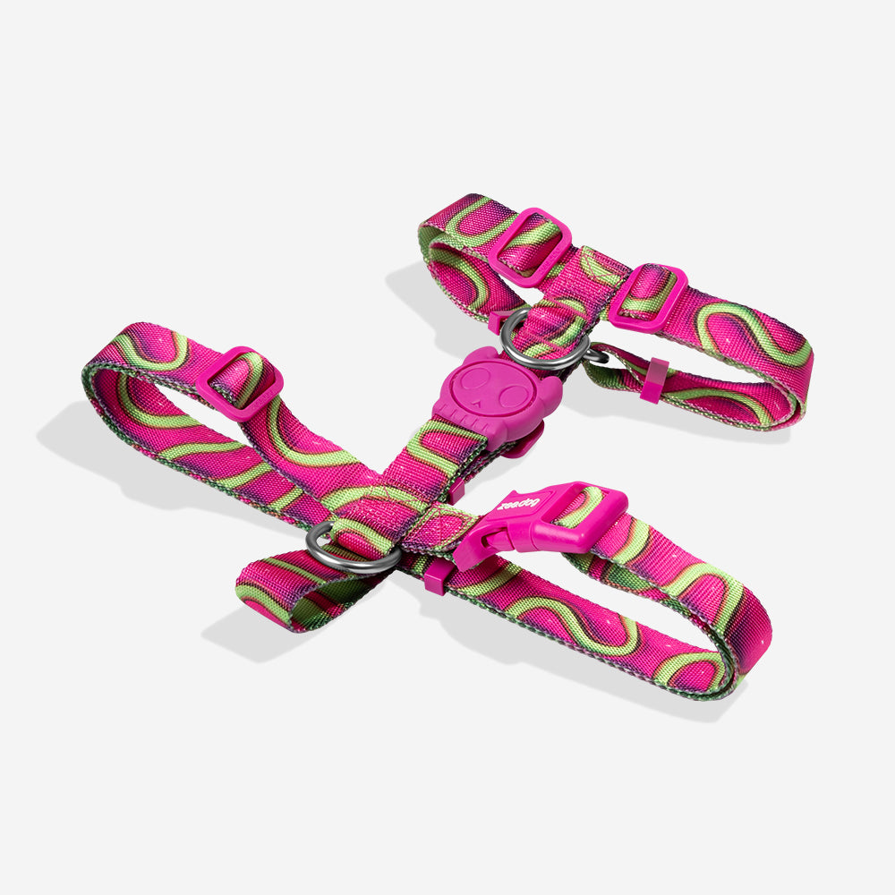 H3D Jelly | H Harness