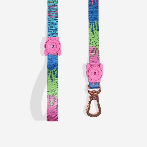 林永甫　JALラビッツ エイトクロス＆ゾーンOFF & DEF 10本セット Dog Leash with Secure Hook - 3 Sizes - Easy to Hold - Zee.Dog - Melted