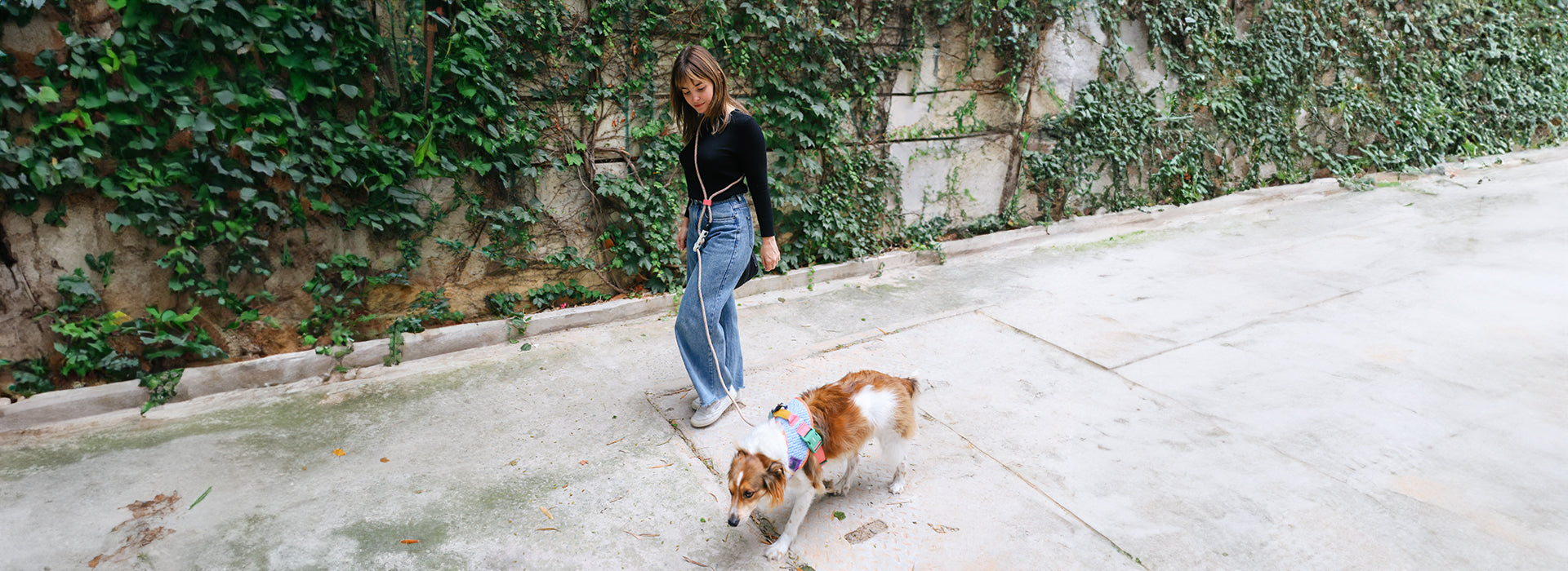 Hands-Free Dog Leash – Waist & Crossbody Adjustable – Zee.Dog GLO