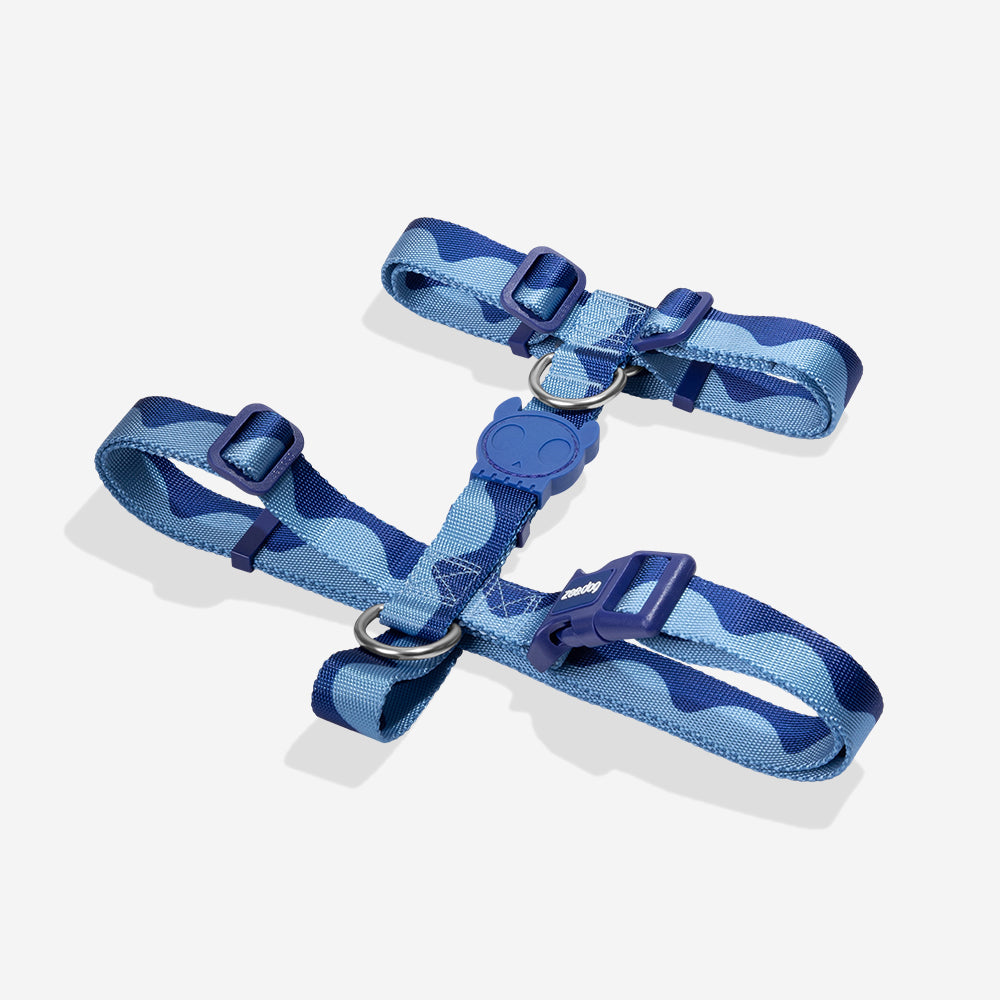 Swell | H Harness