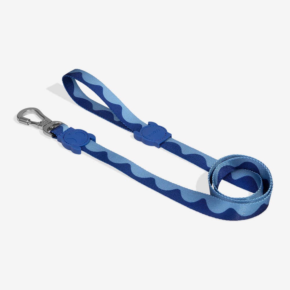 Swell | Leash