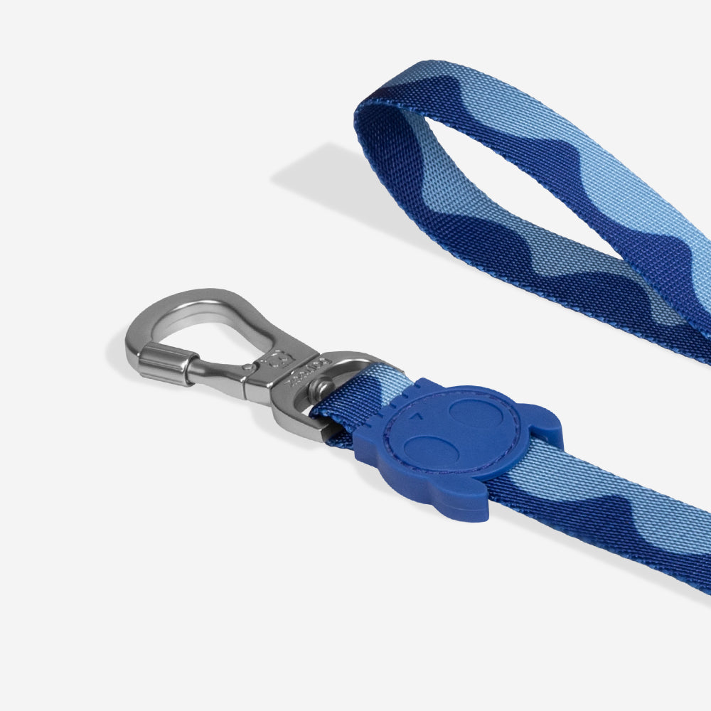 Swell | Leash