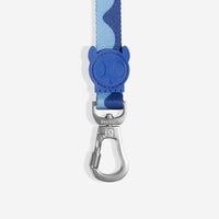 Swell | Leash