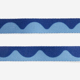 Swell | Leash