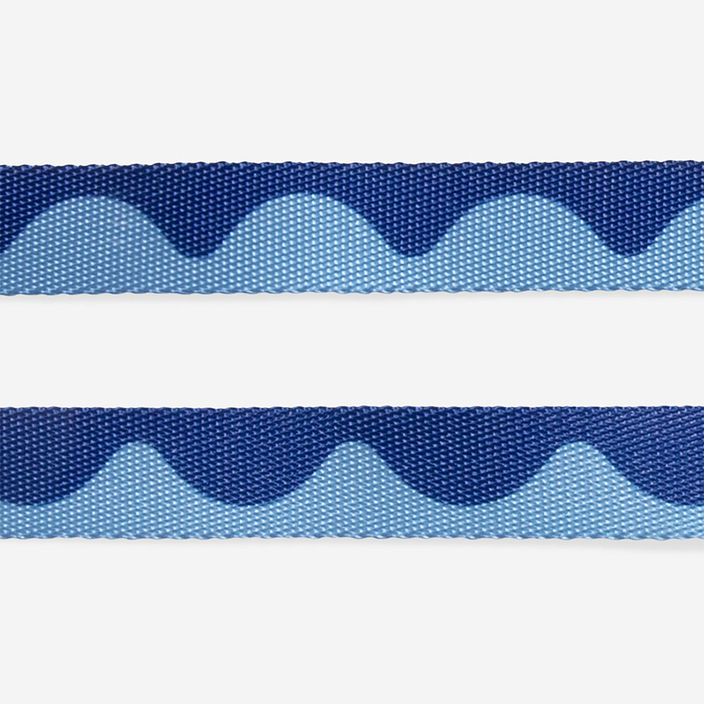 Swell | Leash