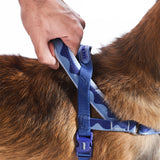 Swell | SofterWalk Harness