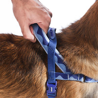 Swell | SofterWalk Harness