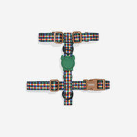 Travis | H Harness