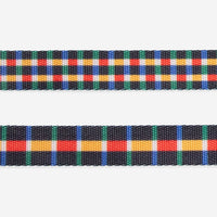 Travis | Leash