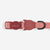 Canyon | Cat Collar