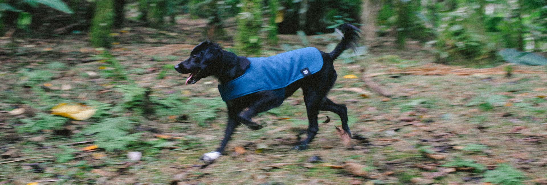 Deep Blue | Fleece-Lined Dog Winter Coat – Zee.Dog