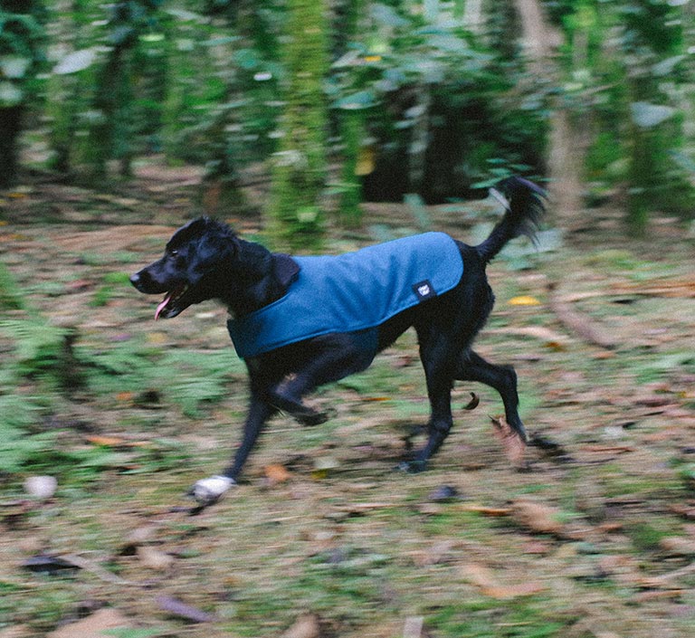 Deep Blue | Fleece-Lined Dog Winter Coat – Zee.Dog