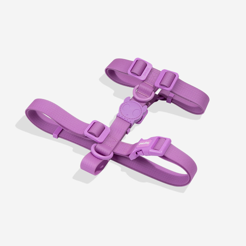 No.350 型　パープル　チャーム　3ペア Neopro Bubblegum | Waterproof Collar – Zee.Dog