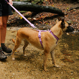 Neopro Ultra Violet | Waterproof H-Harness