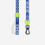 Astro | Leash