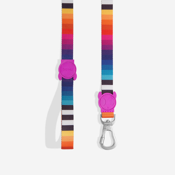 zeedog-dog-leash-prisma_main-