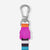 Prisma | Leash