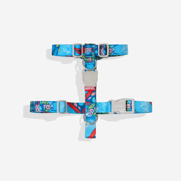 Thor | H Harness – Zee.Dog