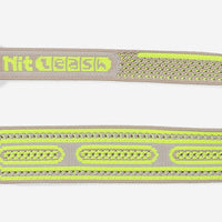 Gluten | NitLeash