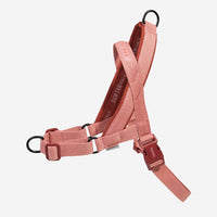 Canyon | H Harness