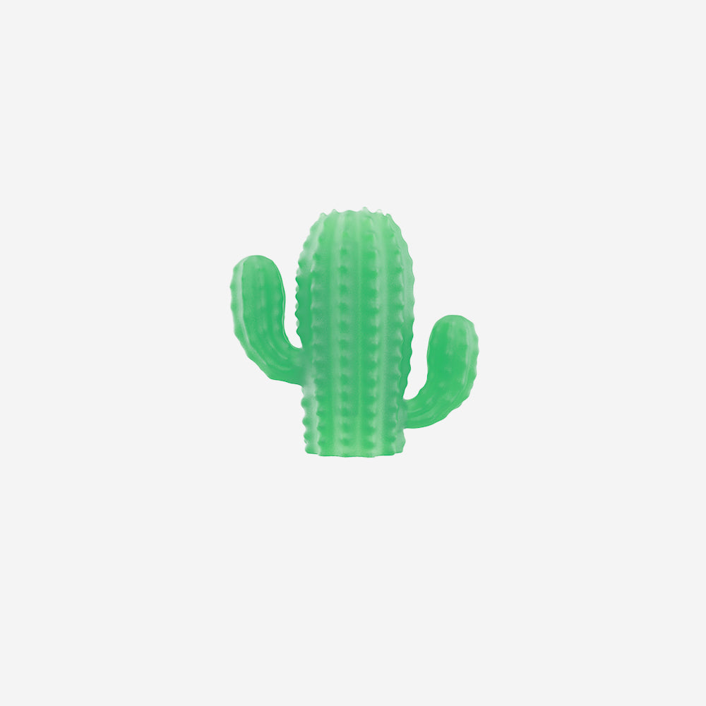 Cactus | Zee.Pinz