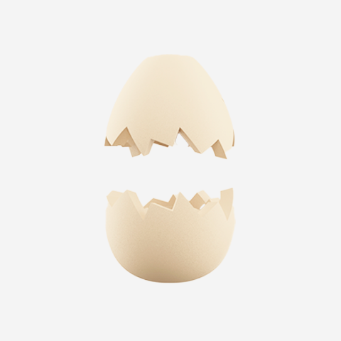 Egg | Zee.Pinz