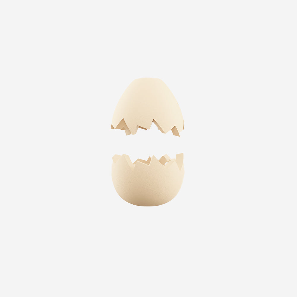 Egg | Zee.Pinz