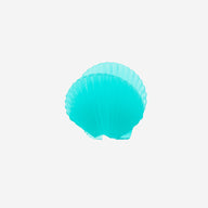 Shell | Zee.Pinz (Rope Leash)