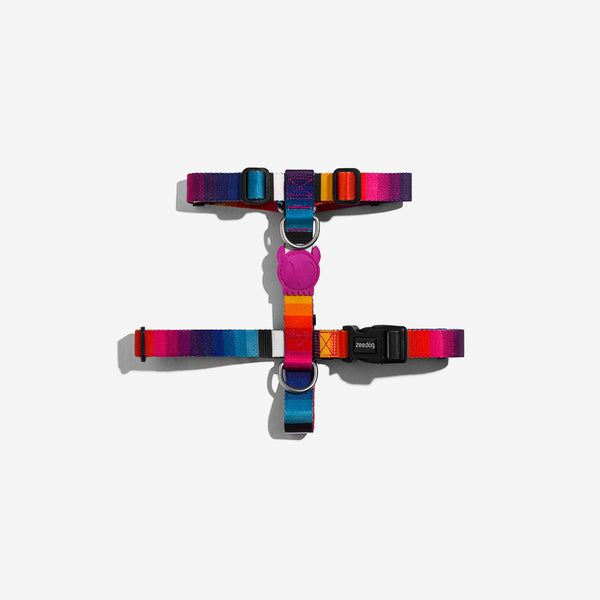 Prisma | Dog H Harness – Zee.Dog