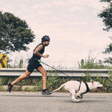 Running Belt | Zee.Run