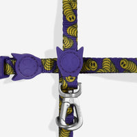 Zmiley | Cat Harness with Leash