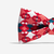 Samé | Dog Bow Tie