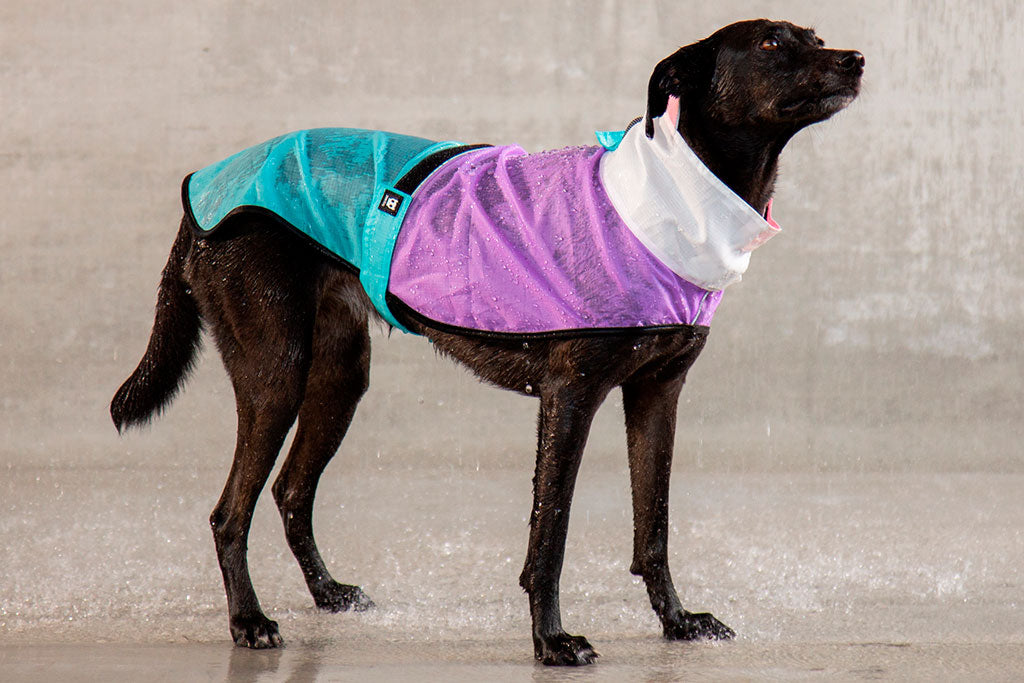 Bel Air | Raincoat