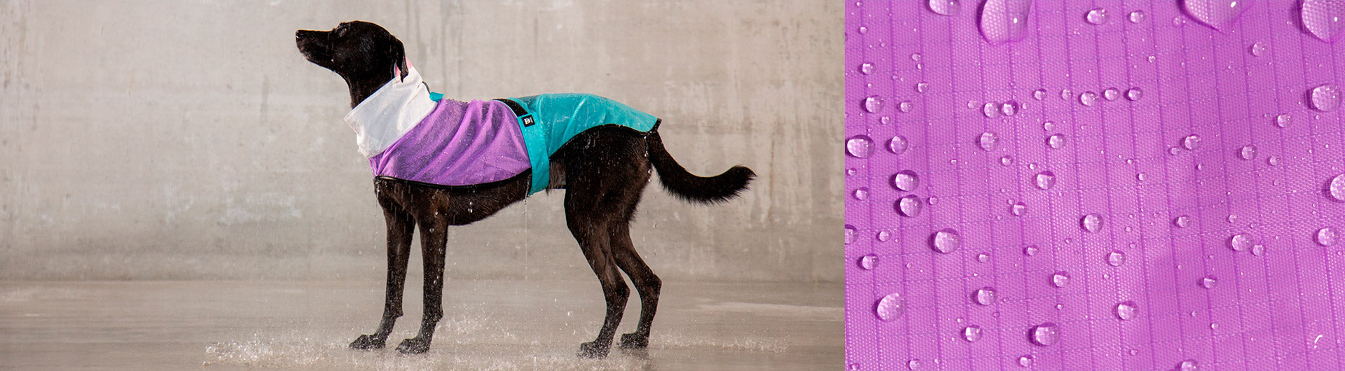Zee.Dog Bel Air Raincoat