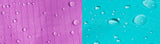 Zee.Dog Bel Air Raincoat