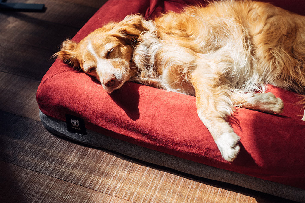 Burgundy | Bed Cover
