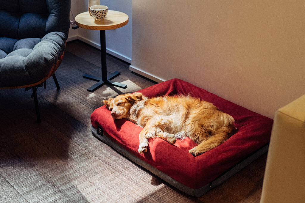 Burgundy | Bed Cover