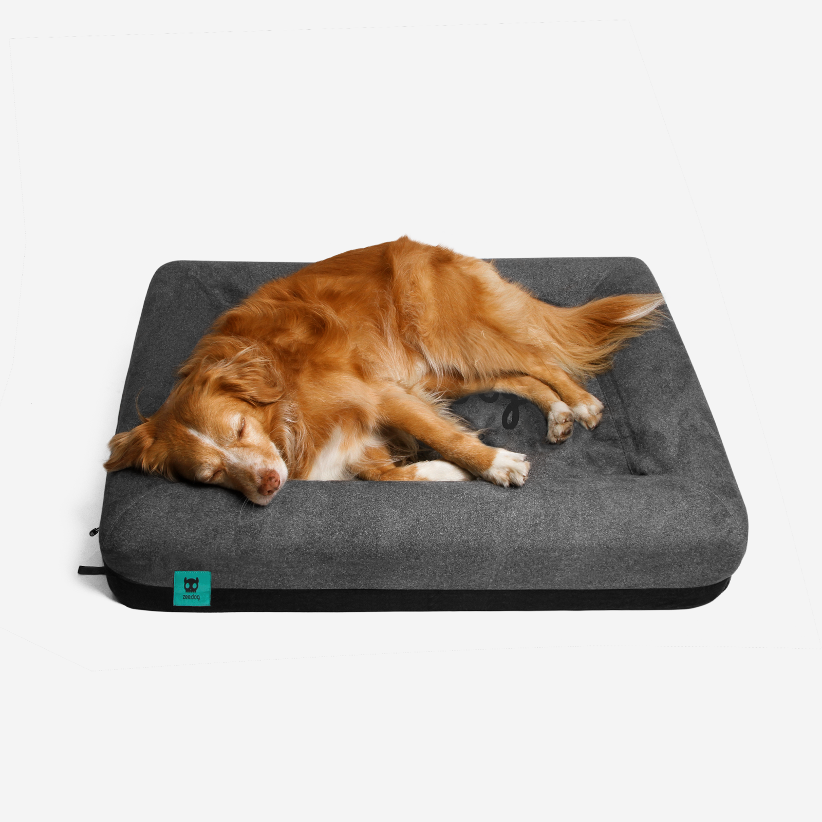 Dog bed size clearance for pitbull