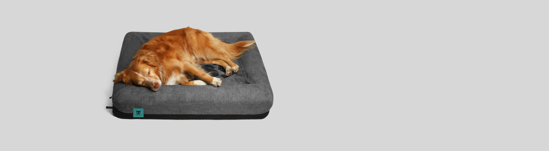 Zee.Bed The Boss | Dog Bed