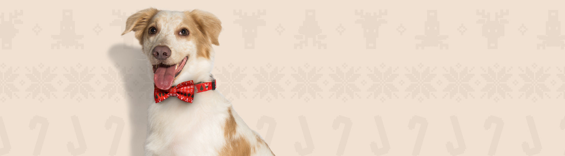 Mutt wearing Rudolph Dog Bow Tie | Christmas Limited Edition